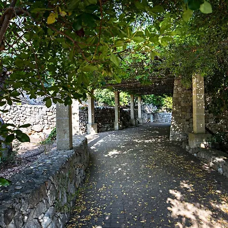 Olive Horizon By Salento Prime Villa Morciano di Leuca